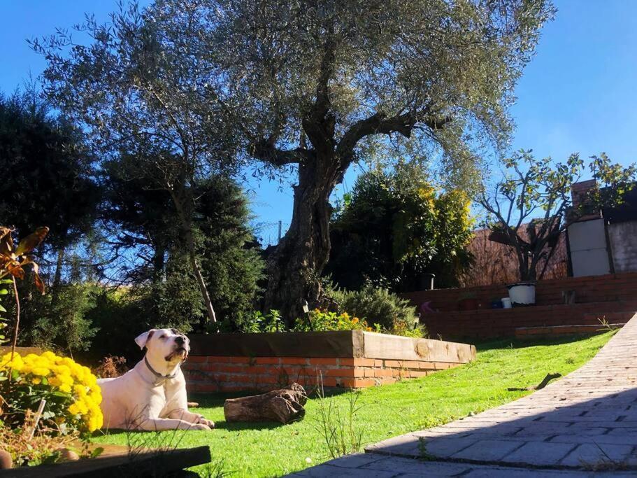 Villa Preciosa Con Hermosas Vistas. Hormigos エクステリア 写真